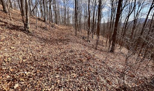 Photo #44 of SOLD property in 1373, 1397, 1398 Peaches N Cream Ln, Bedford, VA 122.2 acres