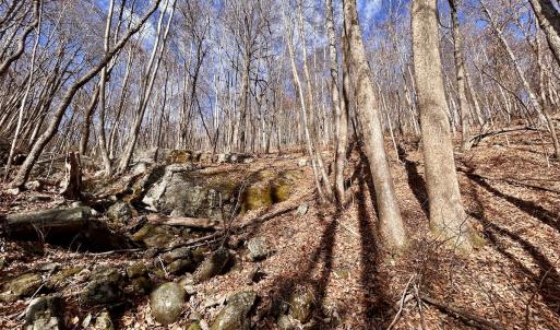 Photo #45 of SOLD property in 1373, 1397, 1398 Peaches N Cream Ln, Bedford, VA 122.2 acres