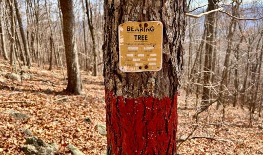 Photo #47 of SOLD property in 1373, 1397, 1398 Peaches N Cream Ln, Bedford, VA 122.2 acres