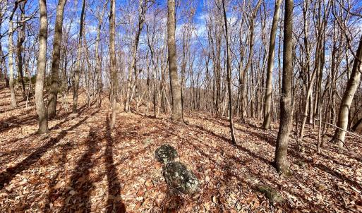 Photo #48 of SOLD property in 1373, 1397, 1398 Peaches N Cream Ln, Bedford, VA 122.2 acres