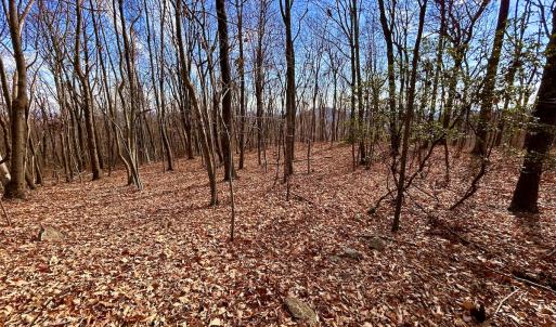 Photo #49 of SOLD property in 1373, 1397, 1398 Peaches N Cream Ln, Bedford, VA 122.2 acres