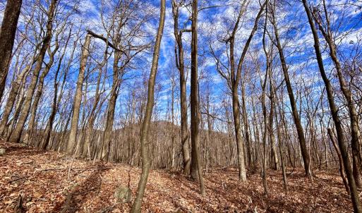 Photo #50 of SOLD property in 1373, 1397, 1398 Peaches N Cream Ln, Bedford, VA 122.2 acres