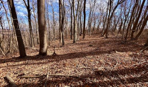 Photo #52 of SOLD property in 1373, 1397, 1398 Peaches N Cream Ln, Bedford, VA 122.2 acres