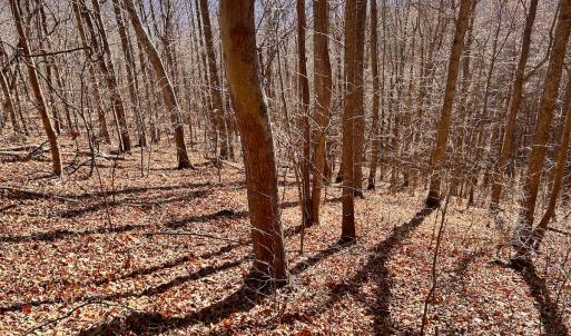 Photo #55 of SOLD property in 1373, 1397, 1398 Peaches N Cream Ln, Bedford, VA 122.2 acres