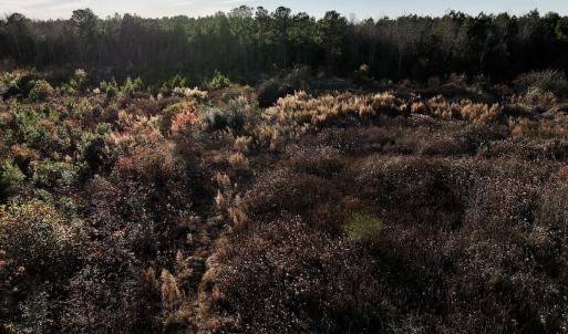 Photo #11 of SOLD property in Off Jolly Ole Field Rd, Grifton, NC 18.5 acres