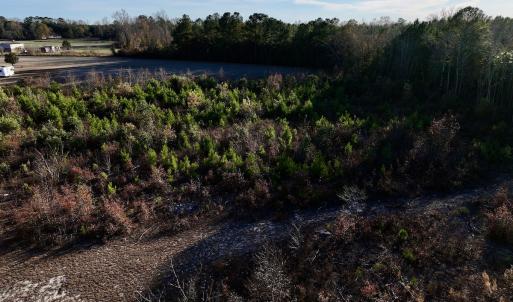 Photo #12 of SOLD property in Off Jolly Ole Field Rd, Grifton, NC 18.5 acres