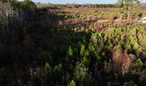 Photo #14 of SOLD property in Off Jolly Ole Field Rd, Grifton, NC 18.5 acres
