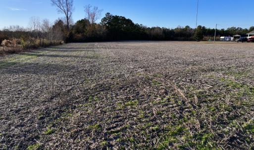 Photo #18 of SOLD property in Off Jolly Ole Field Rd, Grifton, NC 18.5 acres
