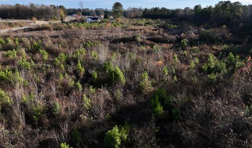 Photo #9 of SOLD property in Off Jolly Ole Field Rd, Grifton, NC 18.5 acres