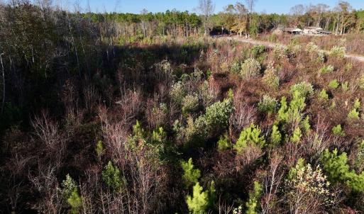 Photo #10 of SOLD property in Off Jolly Ole Field Rd, Grifton, NC 18.5 acres
