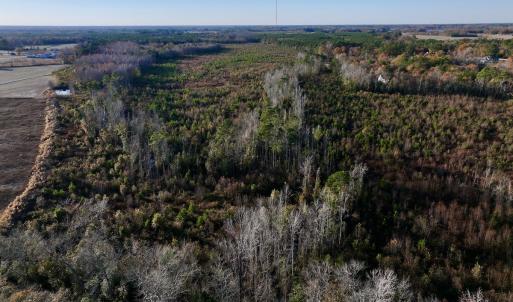 Photo #11 of SOLD property in 2023 Carraway Ln, Grifton, NC 180.6 acres