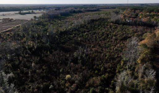 Photo #12 of SOLD property in 2023 Carraway Ln, Grifton, NC 180.6 acres