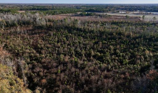 Photo #14 of SOLD property in 2023 Carraway Ln, Grifton, NC 180.6 acres