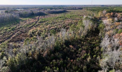 Photo #15 of SOLD property in 2023 Carraway Ln, Grifton, NC 180.6 acres