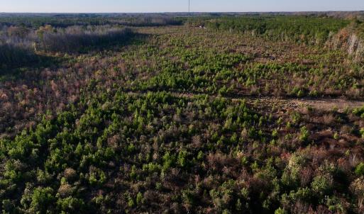 Photo #17 of SOLD property in 2023 Carraway Ln, Grifton, NC 180.6 acres