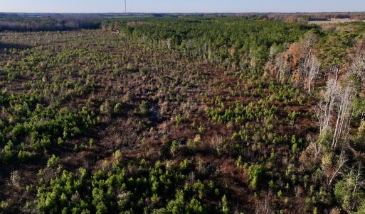 Photo #18 of SOLD property in 2023 Carraway Ln, Grifton, NC 180.6 acres