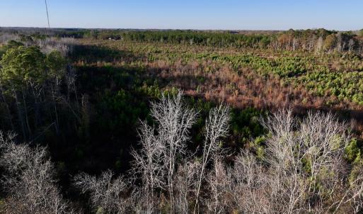 Photo #19 of SOLD property in 2023 Carraway Ln, Grifton, NC 180.6 acres