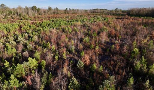 Photo #24 of SOLD property in 2023 Carraway Ln, Grifton, NC 180.6 acres