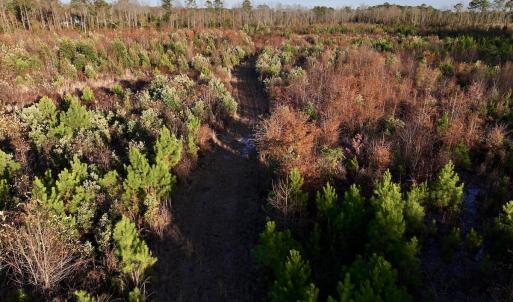 Photo #26 of SOLD property in 2023 Carraway Ln, Grifton, NC 180.6 acres