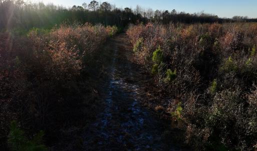 Photo #27 of SOLD property in 2023 Carraway Ln, Grifton, NC 180.6 acres