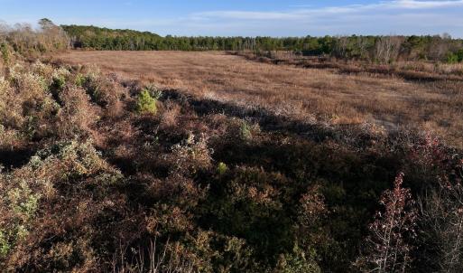 Photo #28 of SOLD property in 2023 Carraway Ln, Grifton, NC 180.6 acres