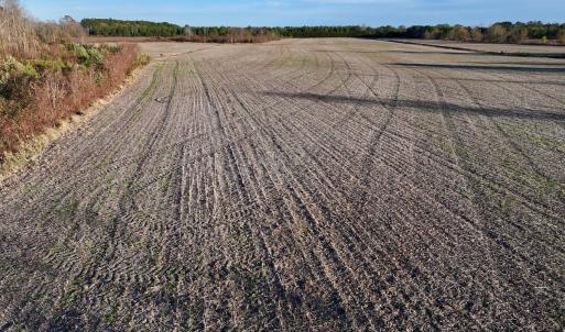Photo #31 of SOLD property in 2023 Carraway Ln, Grifton, NC 180.6 acres