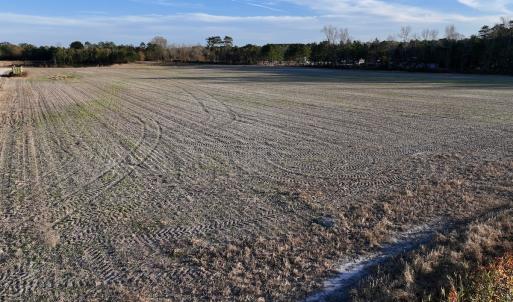 Photo #37 of SOLD property in 2023 Carraway Ln, Grifton, NC 180.6 acres