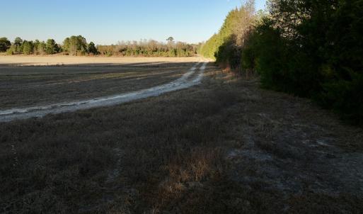 Photo #38 of SOLD property in 2023 Carraway Ln, Grifton, NC 180.6 acres