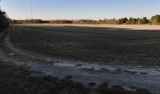 Photo #39 of SOLD property in 2023 Carraway Ln, Grifton, NC 180.6 acres