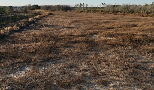 Photo #41 of SOLD property in 2023 Carraway Ln, Grifton, NC 180.6 acres