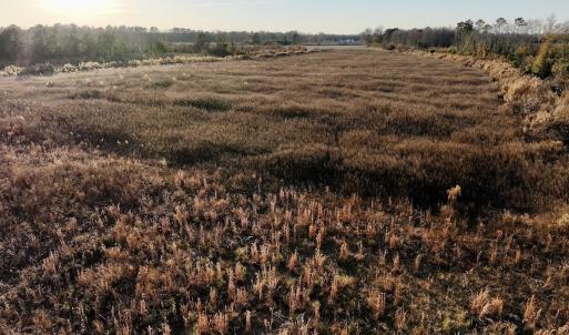 Photo #42 of SOLD property in 2023 Carraway Ln, Grifton, NC 180.6 acres