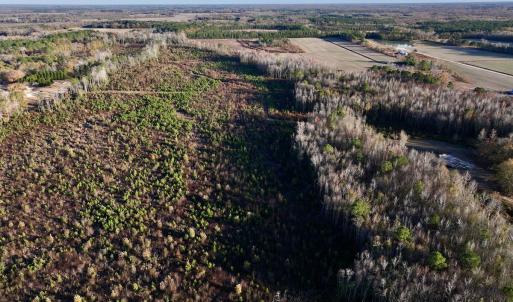 Photo #43 of SOLD property in 2023 Carraway Ln, Grifton, NC 180.6 acres