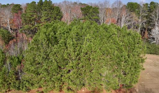 Photo #2 of SOLD property in 68 Caraway Court, Grantsboro, NC 1.2 acres