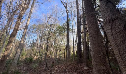 Photo #16 of SOLD property in 68 Caraway Court, Grantsboro, NC 1.2 acres