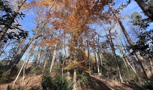 Photo #20 of SOLD property in 68 Caraway Court, Grantsboro, NC 1.2 acres