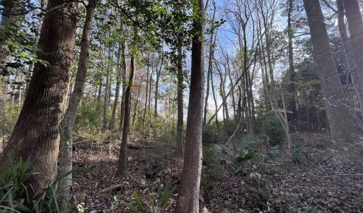 Photo #21 of SOLD property in 68 Caraway Court, Grantsboro, NC 1.2 acres