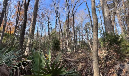 Photo #22 of SOLD property in 68 Caraway Court, Grantsboro, NC 1.2 acres