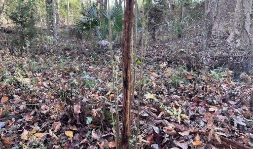 Photo #23 of SOLD property in 68 Caraway Court, Grantsboro, NC 1.2 acres
