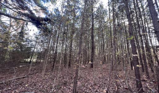 Photo #7 of SOLD property in 68 Caraway Court, Grantsboro, NC 1.2 acres