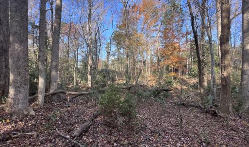 Photo #8 of SOLD property in 68 Caraway Court, Grantsboro, NC 1.2 acres