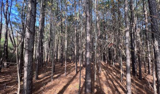 Photo #9 of SOLD property in 68 Caraway Court, Grantsboro, NC 1.2 acres