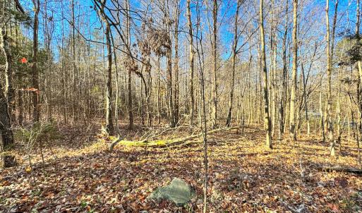 Photo #32 of SOLD property in Off Oliver Loop Road , Roxboro, NC 1.2 acres