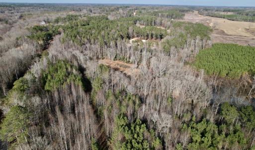 Photo #9 of SOLD property in 01 Peachtree Hills Road, Spring Hope, NC 11.3 acres
