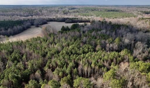 Photo #12 of SOLD property in 01 Peachtree Hills Road, Spring Hope, NC 11.3 acres
