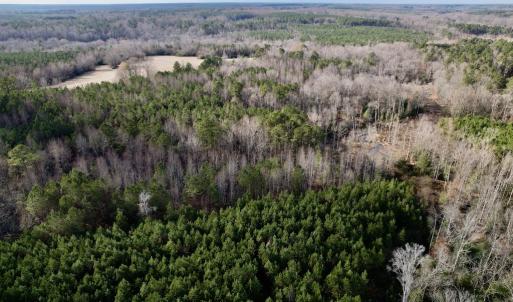 Photo #15 of SOLD property in 01 Peachtree Hills Road, Spring Hope, NC 11.3 acres