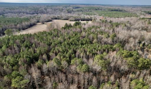 Photo #16 of SOLD property in 01 Peachtree Hills Road, Spring Hope, NC 11.3 acres