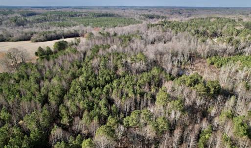 Photo #17 of SOLD property in 01 Peachtree Hills Road, Spring Hope, NC 11.3 acres