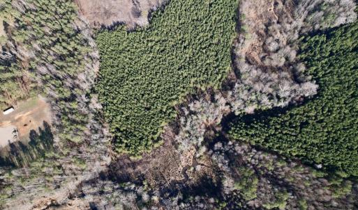 Photo #23 of SOLD property in 01 Peachtree Hills Road, Spring Hope, NC 11.3 acres