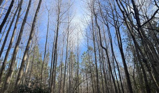 Photo #27 of SOLD property in 01 Peachtree Hills Road, Spring Hope, NC 11.3 acres