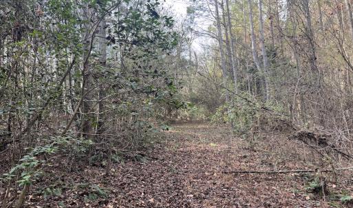 Photo #28 of SOLD property in 01 Peachtree Hills Road, Spring Hope, NC 11.3 acres